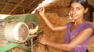 Non-traditional Enterprises